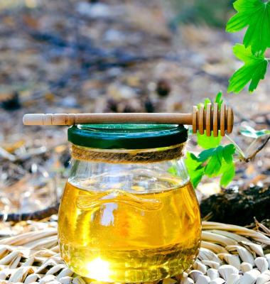 Sri Herbal Jungle Honey: Pure, Natural, and Packed with Benefits